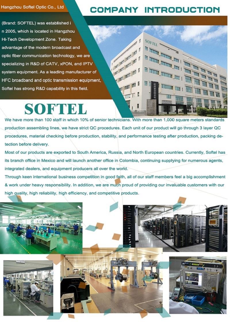 Company Introduction