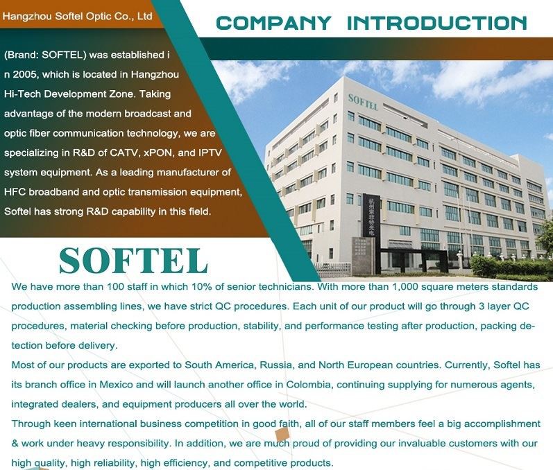 company information