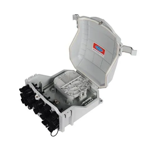 16 Puertos Cajas Nap