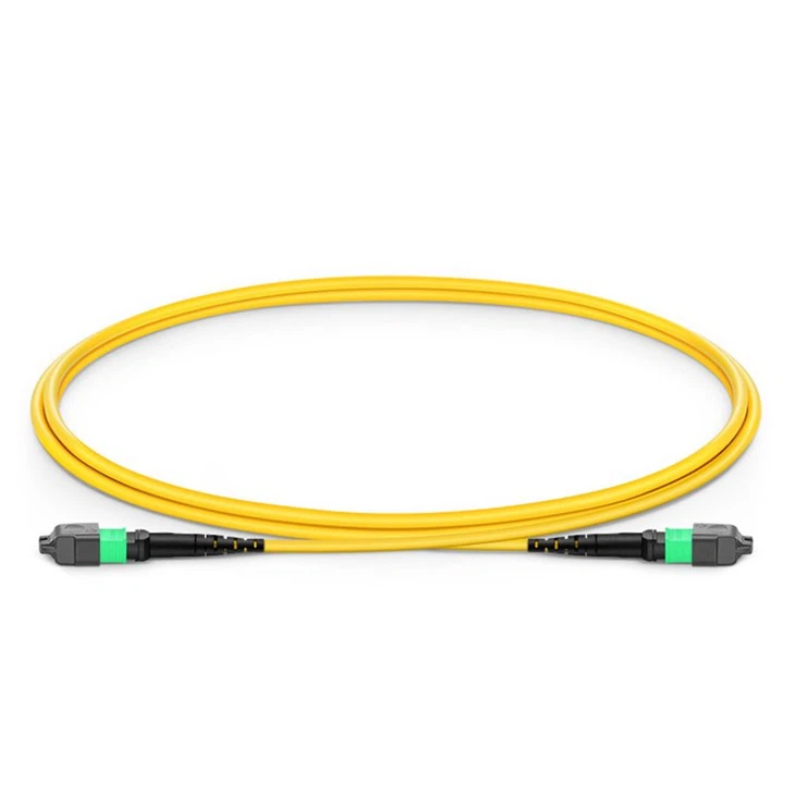 MPO Patch Cord