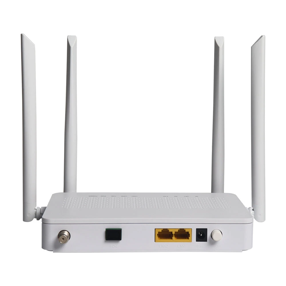 ONT-2GE-RFDW-1